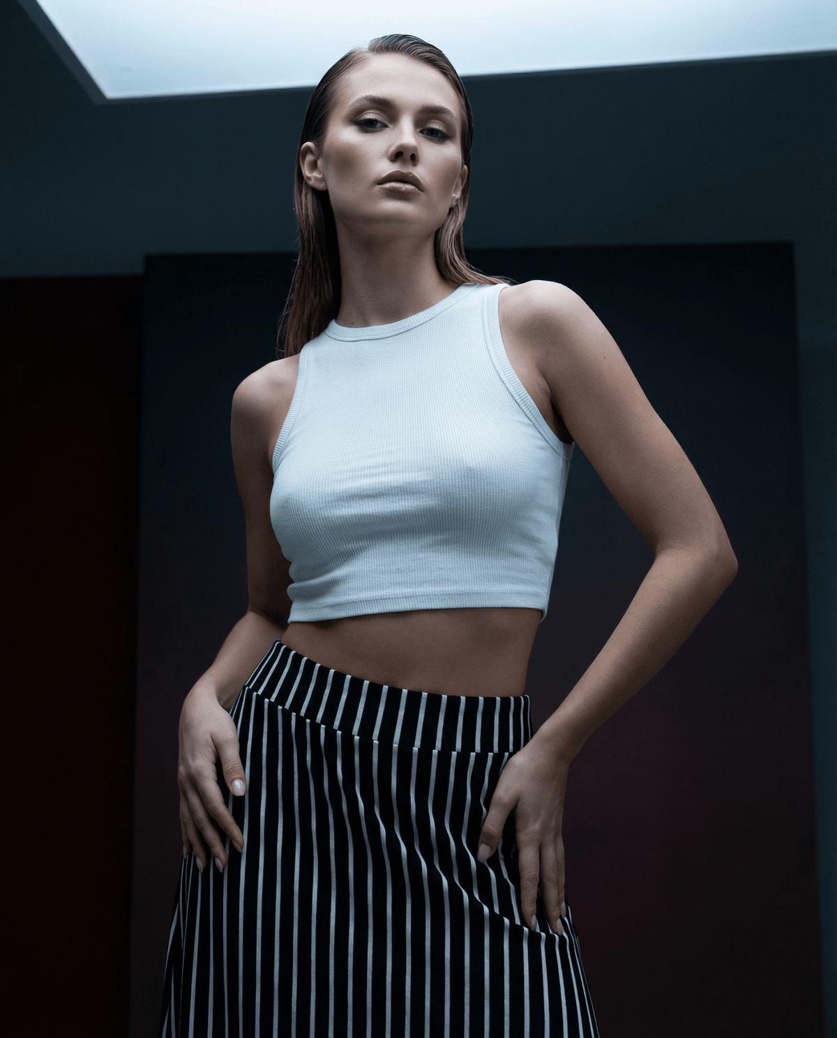 DUNE ROAD VERTICAL STRIPE SKIRT_by_DUNE ROAD_women's_in_New Zealand_ DUNE ROAD VERTICAL STRIPE SKIRT _