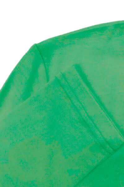 EBONY_WOMENS 100% MERINO (210) LONG SLEEVE CREW TOP VERDE _ WOMENS 100% MERINO (210) LONG SLEEVE CREW TOP VERDE _ Ebony Boutique NZ