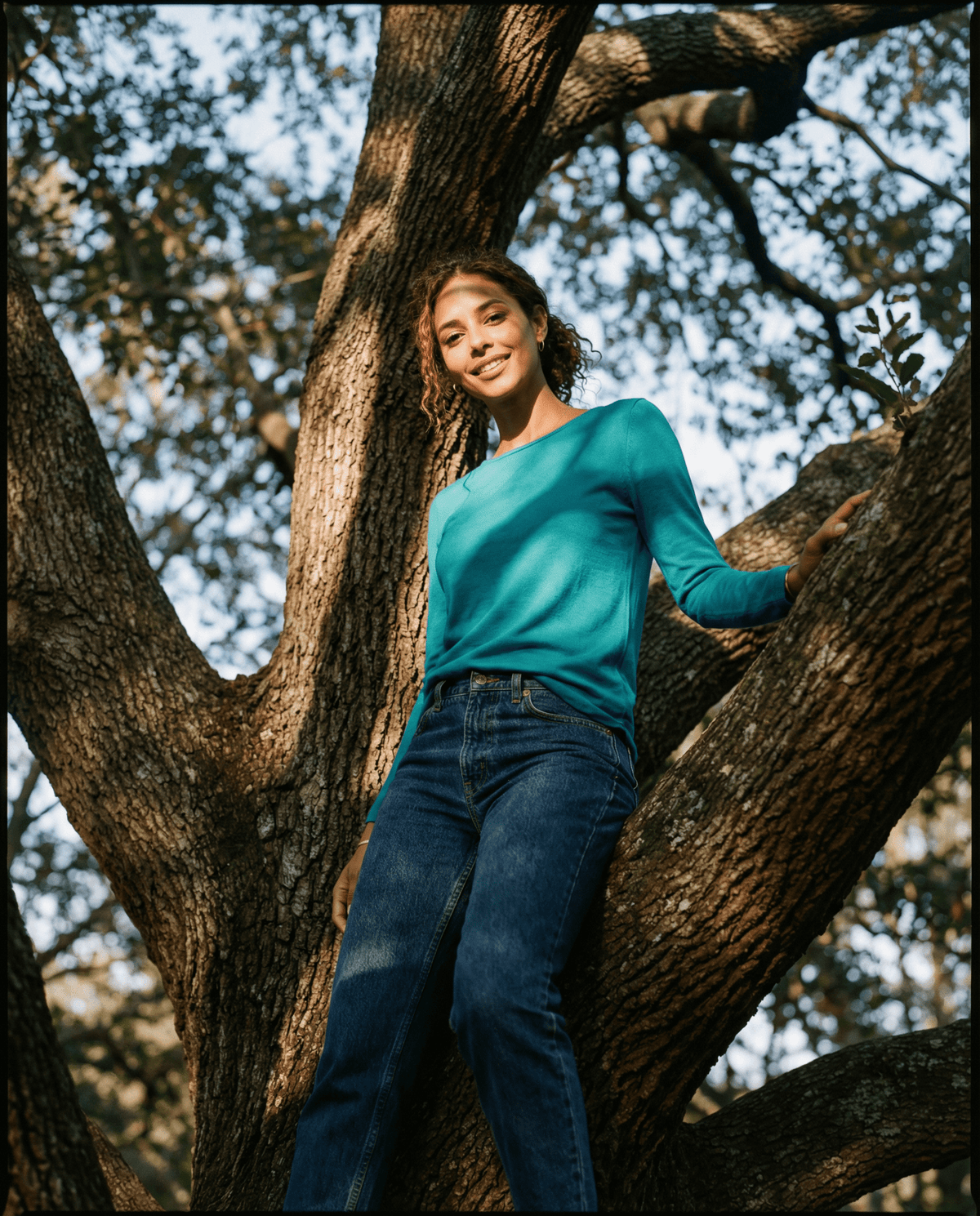 WOMENS 100% MERINO WOOL (210) CURVE HEM LONG SLEEVE JUMPER DRAGONFLY EBAS583DRA_by_EBONY_women's_in_New Zealand_ WOMENS 100% MERINO WOOL (210) CURVE HEM LONG SLEEVE JUMPER DRAGONFLY EBAS583DRA _
