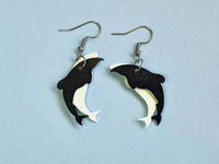 REMIX PLASTICS_HECTORS DOLPHIN EARRINGS _ HECTORS DOLPHIN EARRINGS _ Ebony Boutique NZ