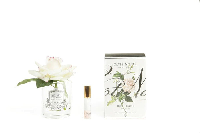 COTE NOIRE_PERFUMED NATURAL TOUCH FRENCH ROSE BLUSH PINK CLEAR GLASS _ PERFUMED NATURAL TOUCH FRENCH ROSE BLUSH PINK CLEAR GLASS _ Ebony Boutique NZ