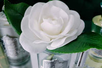 COTE NOIRE_PERFUMED NATURAL TOUCH SINGLE GARDENIA WHITE CLEAR GLASS _ _ Ebony Boutique NZ